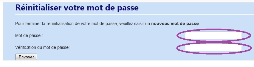 Zones de saisie du nouveau mot de passe